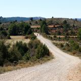 Bikecat-Cycling-Tours-Best_of_2023-190