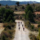 Bikecat-Cycling-Tours-Best_of_2023-193