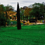 431_IMG_20240416_103158