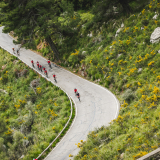 598_08052024-IMG_6582