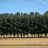 959_Best-of-Girona-Cycling-Tour-2024-241
