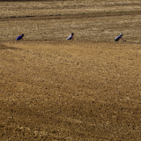 010-Mariposa-Girona-Costa-Brava-Day-1-015