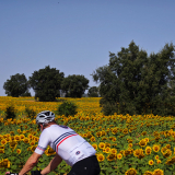 029-IMG_20250806_110426