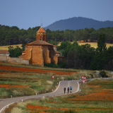 055-M2_Conan_Tour-2025_day_3C-023