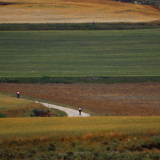 056-M2_Conan_Tour-2025_day_2C-226