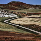 088-IMG_20250616_125435