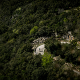 103-29042025-IMG_8920