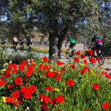 104-IMG_20250406_103427 104-IMG_20250406_103427