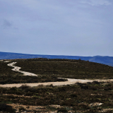 109-IMG_20250411_132937