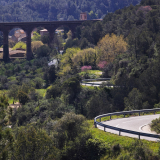 118-IMG_20250407_123908