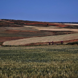 123-IMG_20250616_125131_1