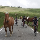 Bikecat-Willies-World-Cycling-Best-of-Girona-059