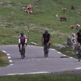 Bikecat-Willies-World-Cycling-Best-of-Girona-066