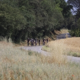 Bikecat-Willies-World-Cycling-Best-of-Girona-157