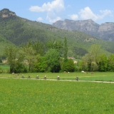 Bikecat-A2-Roadies-Best-of-Girona-121