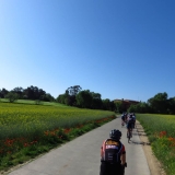 Bikecat-A2-Roadies-Best-of-Girona-146