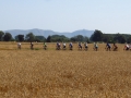 Bikecat Custom Cycling Tours - Best of 2018 -045