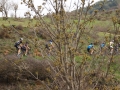 Bikecat Custom Cycling Tours - Best of 2018 -051