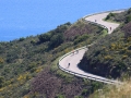 Bikecat Custom Cycling Tours - Best of 2018 -076