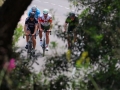 Bikecat Custom Cycling Tours - Best of 2018 -083