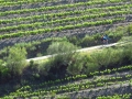 Bikecat Custom Cycling Tours - Best of 2018 -098