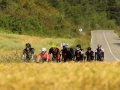 Bikecat Custom Cycling Tours - Best of 2018 -120