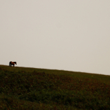 Cantabria_Asturias_2023-015