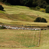 Cantabria_Asturias_2023-121