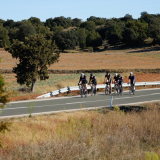 Conan-Tour-2021-Bikecat-Cycling-Tours-088
