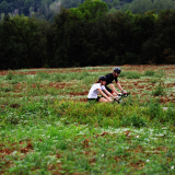 Costa_Brava-Family_Tour-2024-091