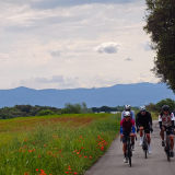 Bikecat-Cumple_Gus_Girona-2026-003