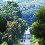 Bikecat-Cumple_Gus_Girona-2026-023