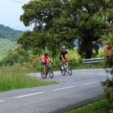 Bikecat-Cumple_Gus_Girona-2026-026