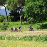 Bikecat-Cumple_Gus_Girona-2026-034