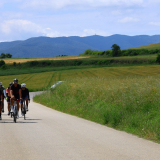 Bikecat-Cumple_Gus_Girona-2026-042