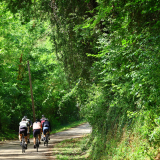 Bikecat-Cumple_Gus_Girona-2026-046