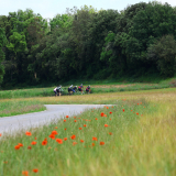 Bikecat-Cumple_Gus_Girona-2026-047