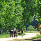 Bikecat-Cumple_Gus_Girona-2026-049
