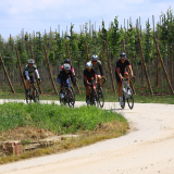 Bikecat-Cumple_Gus_Girona-2026-050