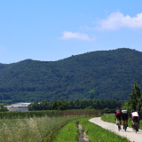 Bikecat-Cumple_Gus_Girona-2026-053