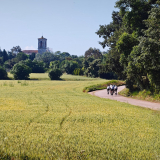 Bikecat-Cumple_Gus_Girona-2026-062