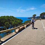 Bikecat-Cumple_Gus_Girona-2026-093