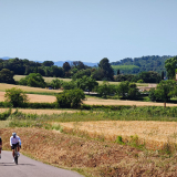 Bikecat-Cumple_Gus_Girona-2026-119