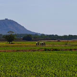 Bikecat-Cumple_Gus_Girona-2026-120
