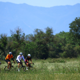 Bikecat-Cumple_Gus_Girona-2026-127