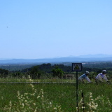 Bikecat-Cumple_Gus_Girona-2026-133