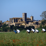Bikecat-Cumple_Gus_Girona-2026-140