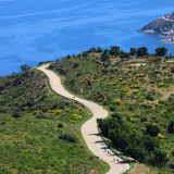 Bikecat-Cumple_Gus_Girona-2026-161