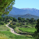 Bikecat-Cumple_Gus_Girona-2026-180
