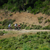 Bikecat-Cumple_Gus_Girona-2026-182